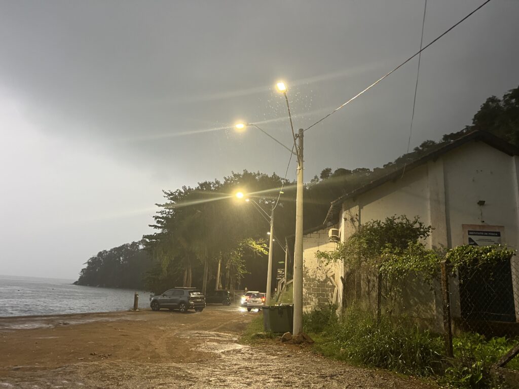 Caisão - Francisco Trevisan