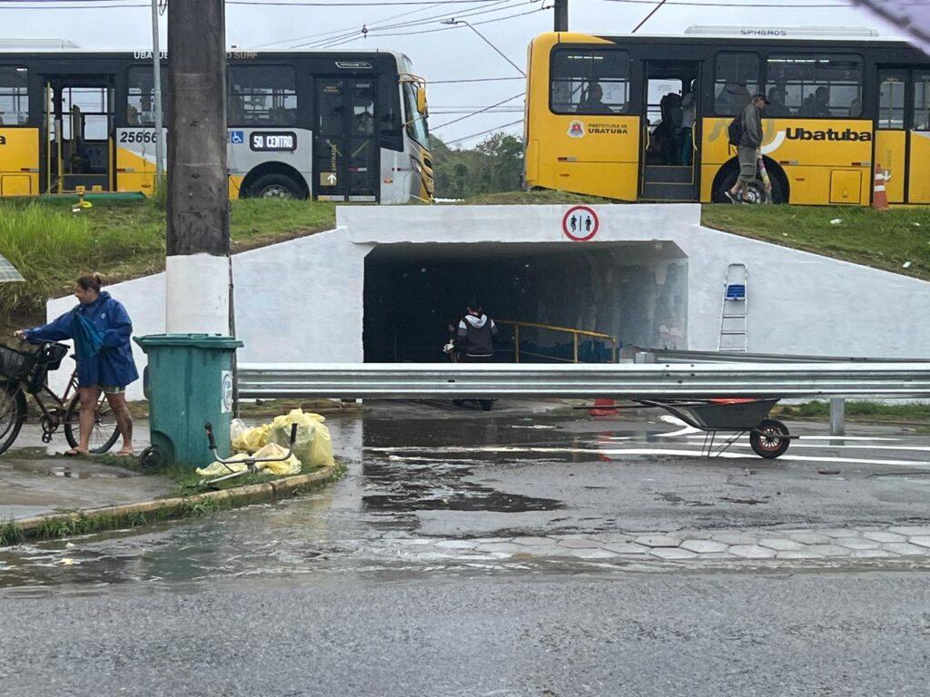 TÚNEL ESTUFA 2 - UBATUBA - FRANCISCO TREVISAN