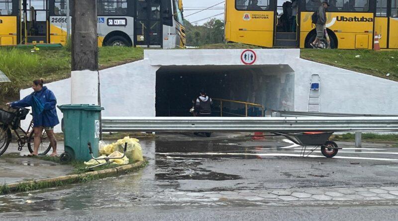 TÚNEL ESTUFA 2 - UBATUBA - FRANCISCO TREVISAN